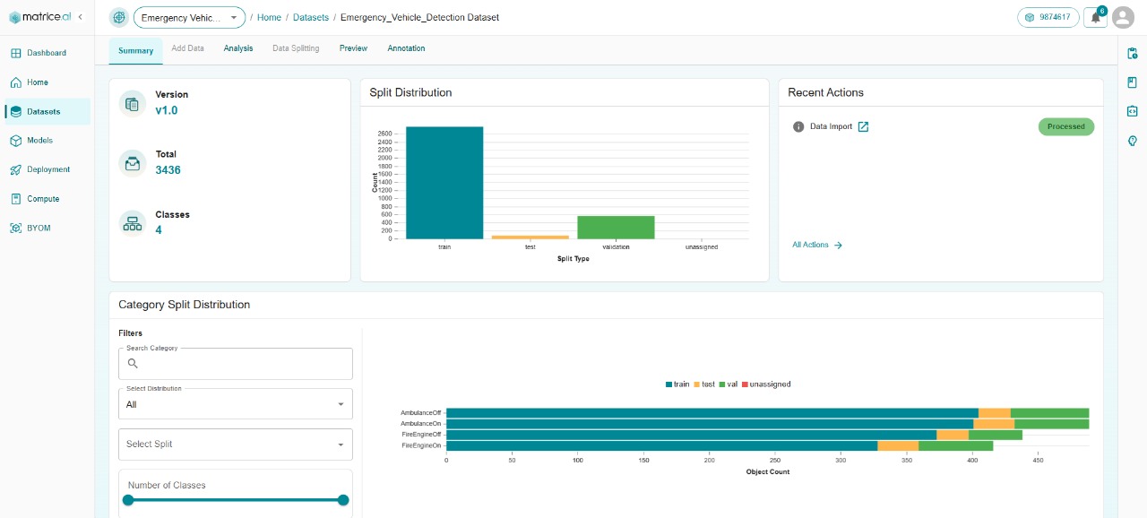 Dataset Summary