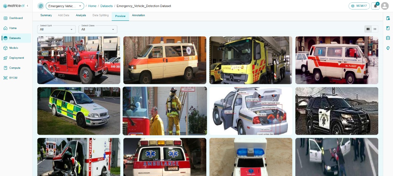 Dataset Samples