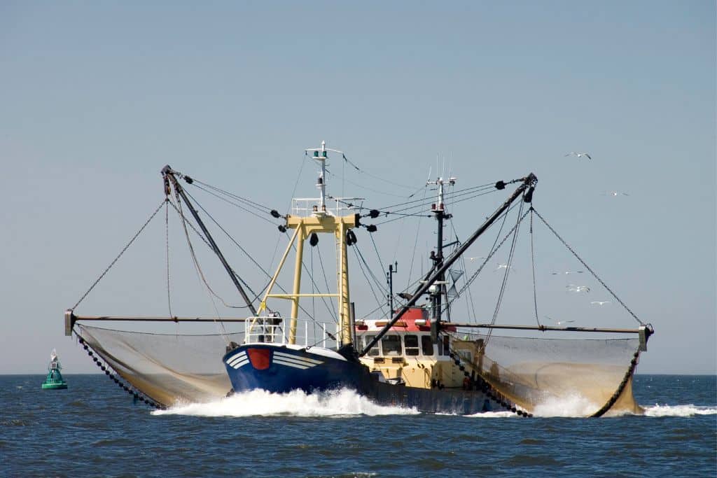 IllegalFishing