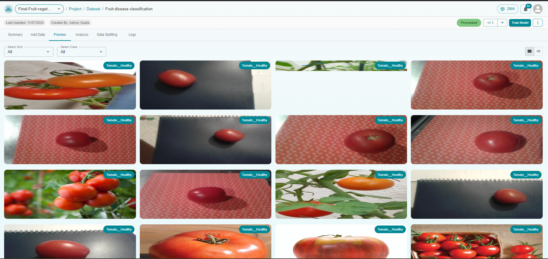 Dataset Preview
