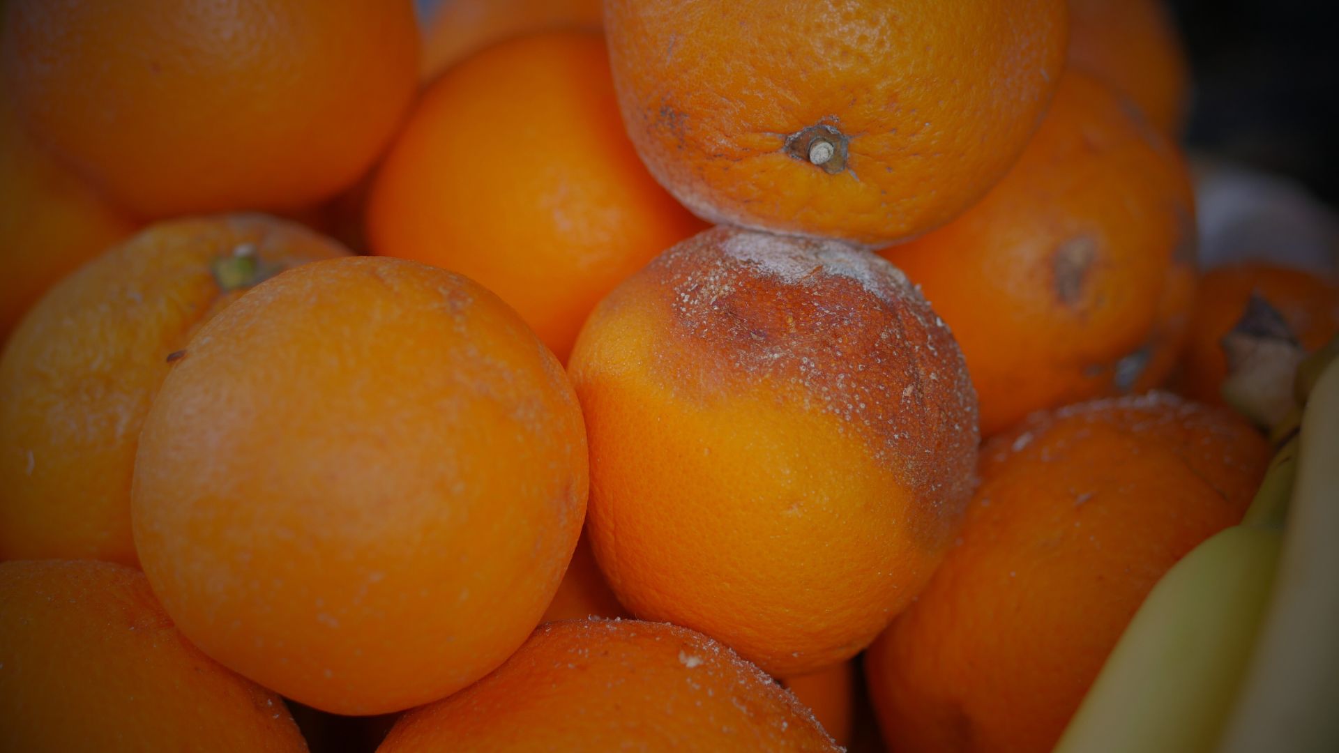 Fruits and Vegetables Classification