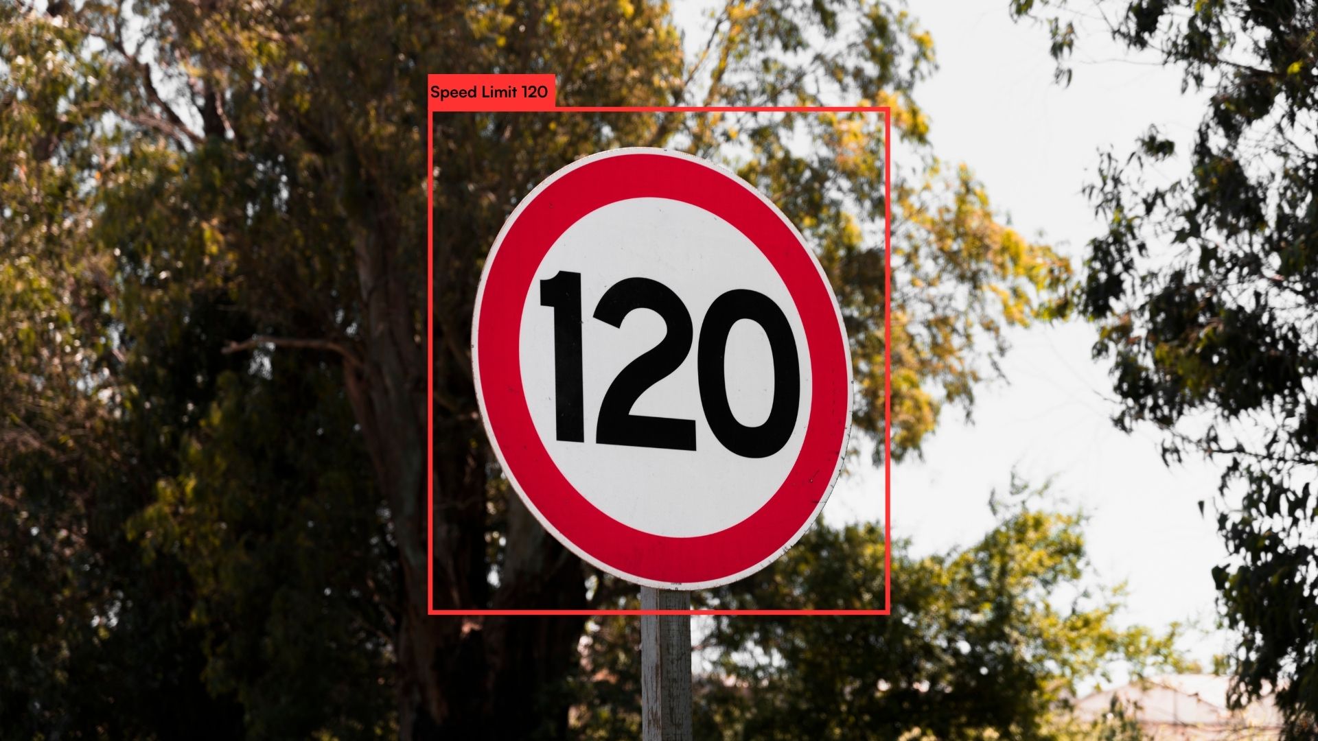 Traffic Sign Detection