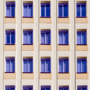 Instance Segmentation Example 2