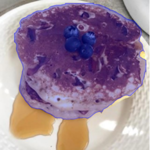 Instance Segmentation Example 1