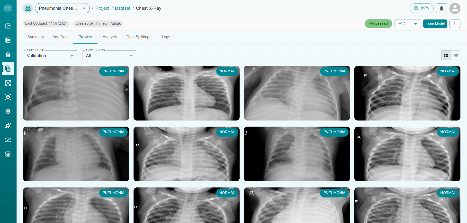 Dataset Preview